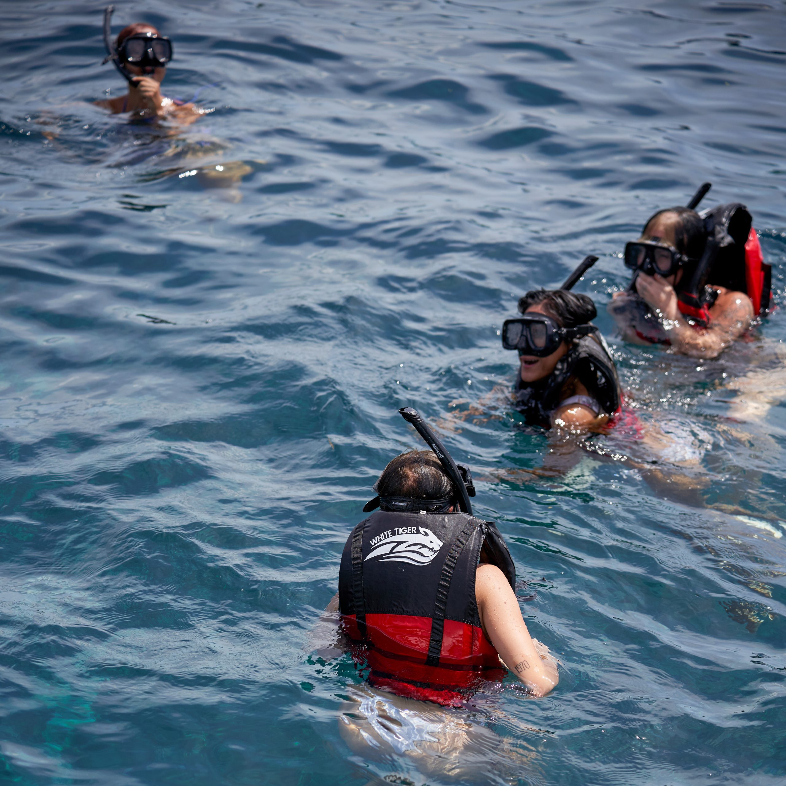 White Tiger Boat Rental Bali - About Us -3